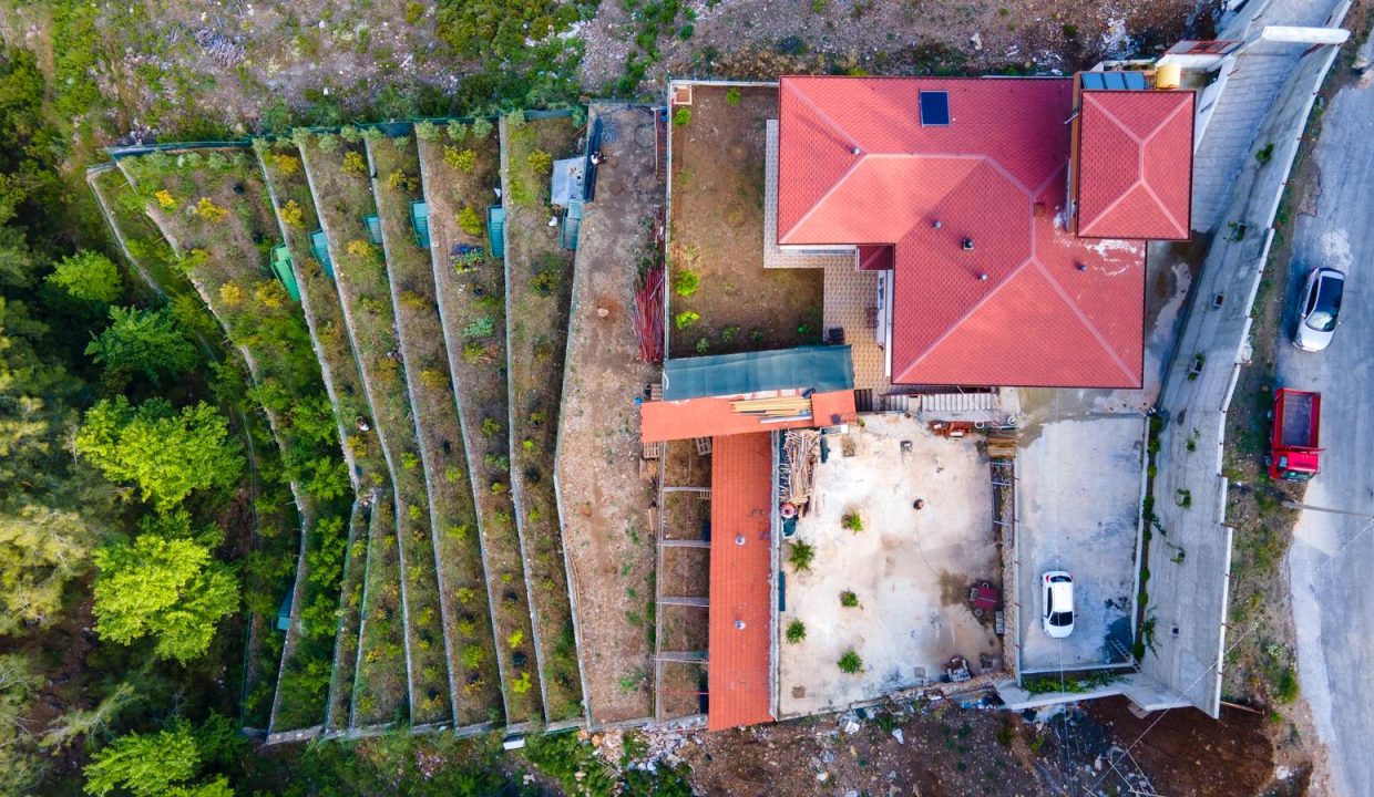 WhatsApp Image 2026-02-18 at 21.23.38 (1)