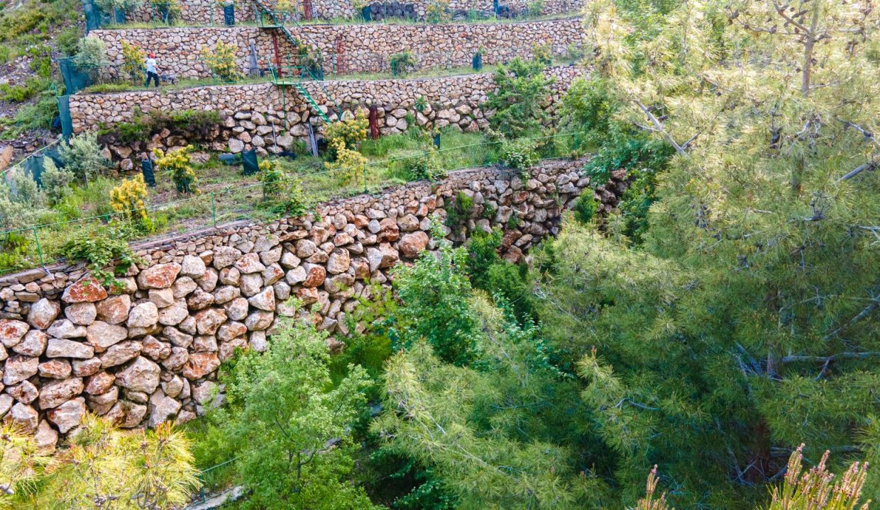 WhatsApp Image 2026-02-18 at 21.23.39