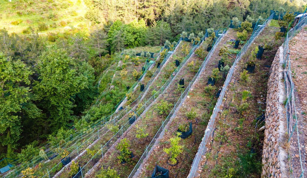 WhatsApp Image 2026-02-18 at 21.23.40 (2)