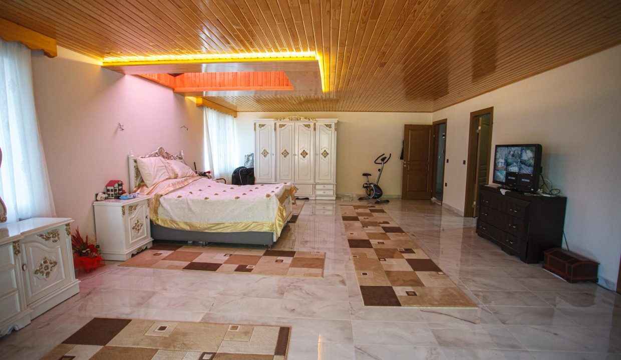 WhatsApp Image 2026-02-18 at 21.23.43