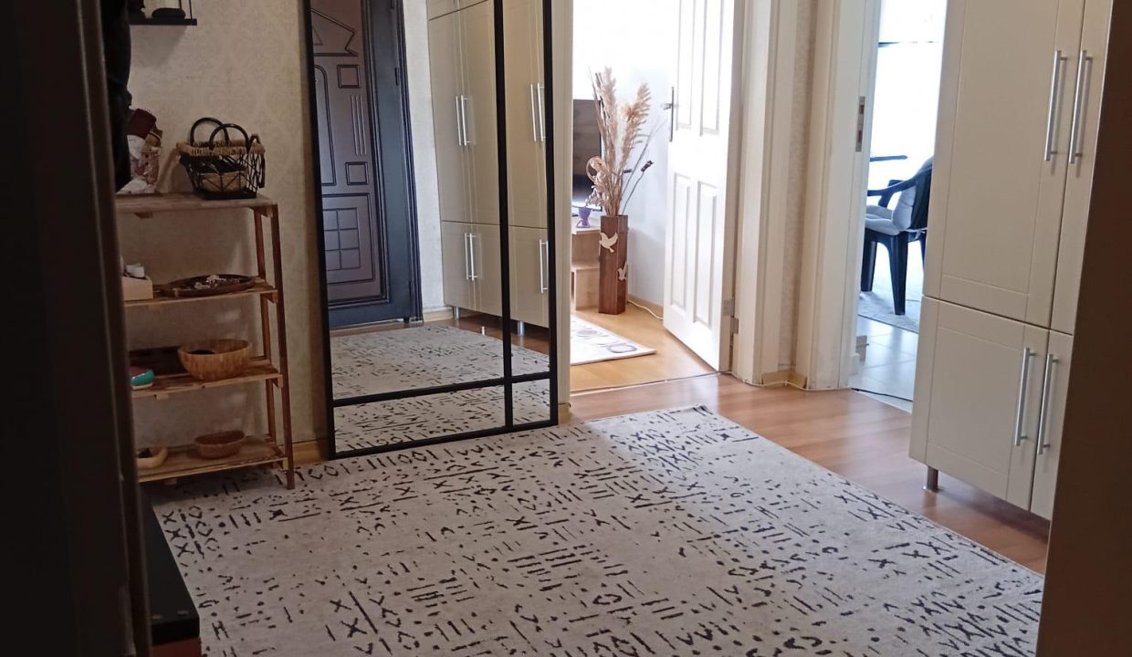 WhatsApp Image 2026-02-19 at 20.15.12