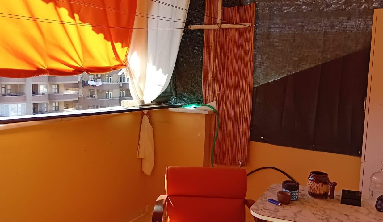 WhatsApp Image 2026-02-19 at 20.15.13