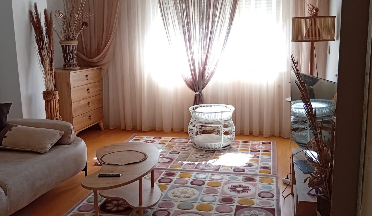 WhatsApp Image 2026-02-19 at 20.15.14