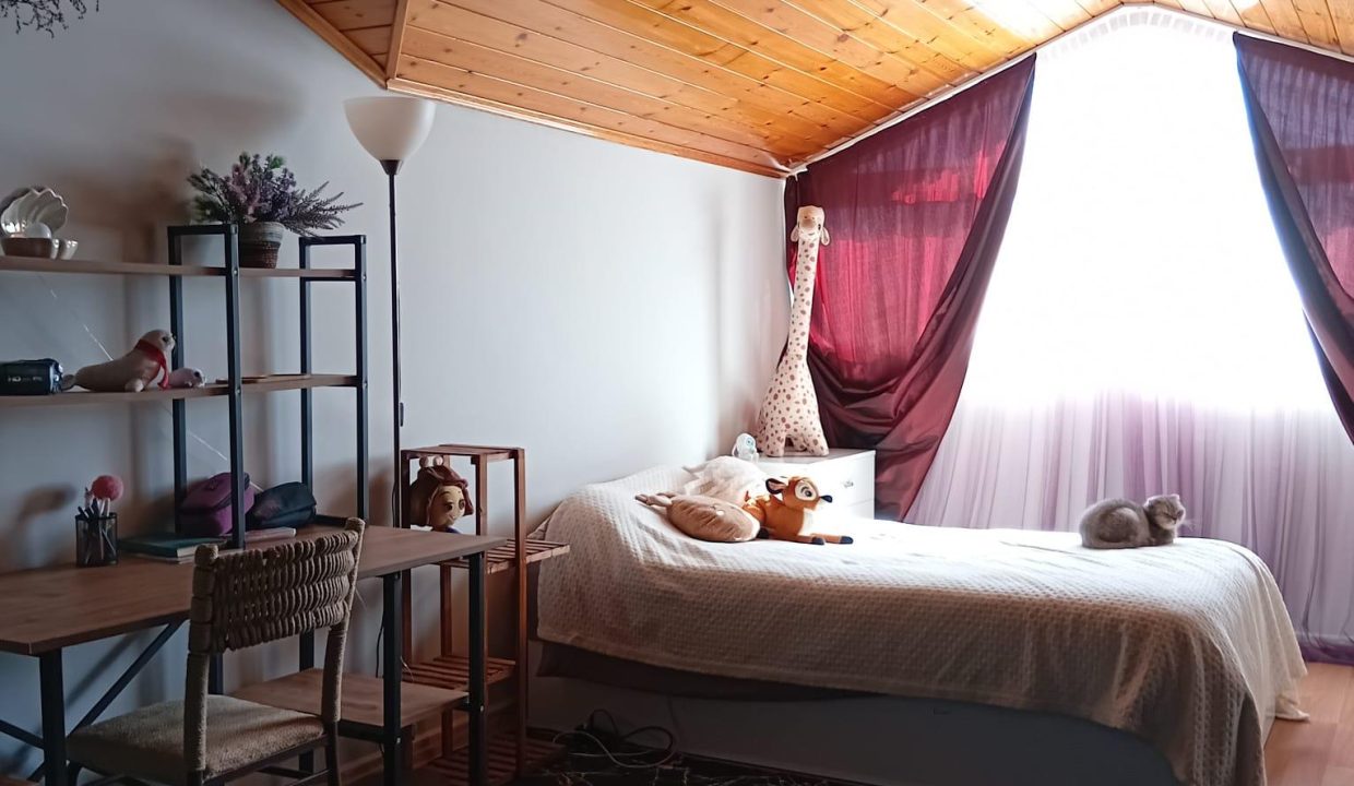 WhatsApp Image 2026-02-19 at 20.15.17